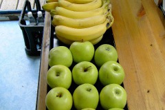 db_Fussballcamp_2008_-7-1