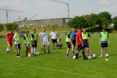 db_wfv-Trainerbasislehrgang_2011_0121