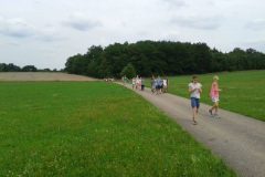 Zeltlager-2014_maislabyrinth_5