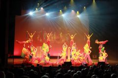 2015-11-14_rendezvous-der-besten-worms095